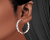 Silver stones Earrings