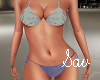 Paloma Beach Bikini