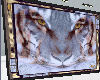 Tiger Eyes by Jada