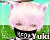 *Y* Meow Mask