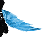 blue ice tail (F)