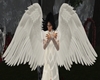 M/F Angel Wings