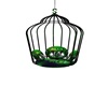 Black/Green  Cage Swing
