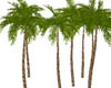 10 palme tree