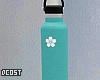 Water Flask