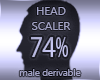 Head Scaler 74%