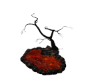 Lava Gazing Pool
