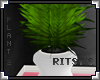 [LyL]Ritsy's Plant 2