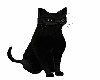 Animated Black CAT