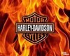 Harley Vest/ Fire