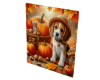 SR autumn