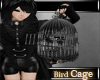 Bird Cage + 15 Pose