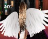*ML*White Angel Wings