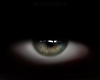 *C eyes