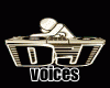 🎧 VOICES DJ