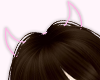 ✧cute devil