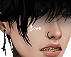 $ ShadowFace XD