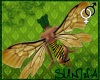 )S( Bee wings