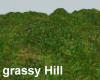 Terrain - grassy Hills