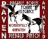 PIEBALD PINTO HORSE!