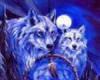 blue wolf