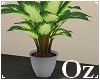 [Oz] - Plante verte