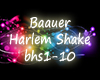Baaver Harlem Shake