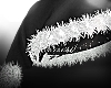 ✦ Xmas Hat