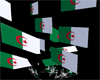 Algeria Flag Poofer