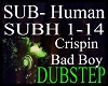 *subh - Sub Human Dub