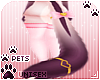 [Pets] Vida | tail v2