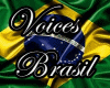 *NF* Voices Brasil 3