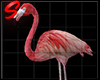 Pink Flamingo Static