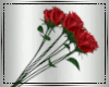 😻 Red Rose+7 Poses
