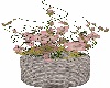 Basket + flowers