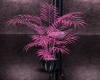 LS Plant Pink