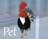 Tuxedo Rooster