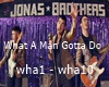 Jonas Brothers - What A
