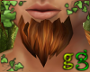 *G Tinker Beard Ginger 2
