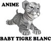 tigre baby blanc