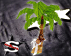 xxStarr Kissy Palm Tree