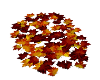 Autumn  Leaves