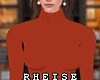 Fall Turtleneck Dress