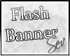 *S Support Flash Banner