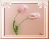 pink tulip sticker