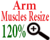 Arm muscles Resize 120%