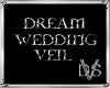 Dream Wedding Veil