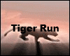 Tiger Run Animated