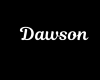 Dawson Necklace/F