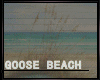 !❤GOOSE_BEACH_SURF